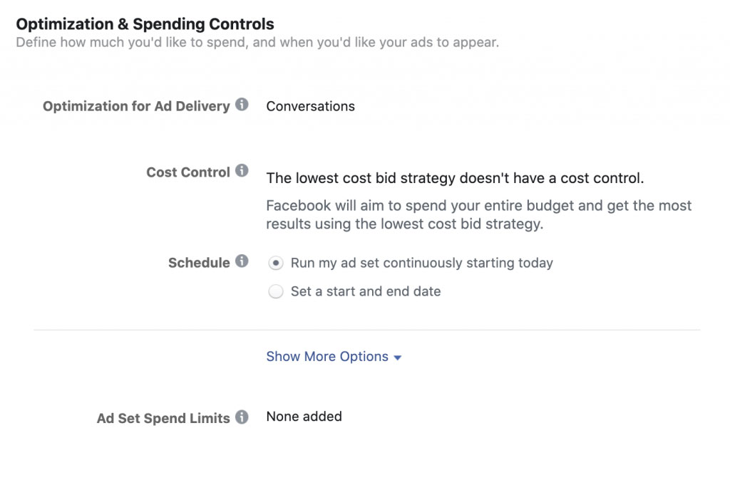 Facebook Ads Manager - Optimization and Spending Controls