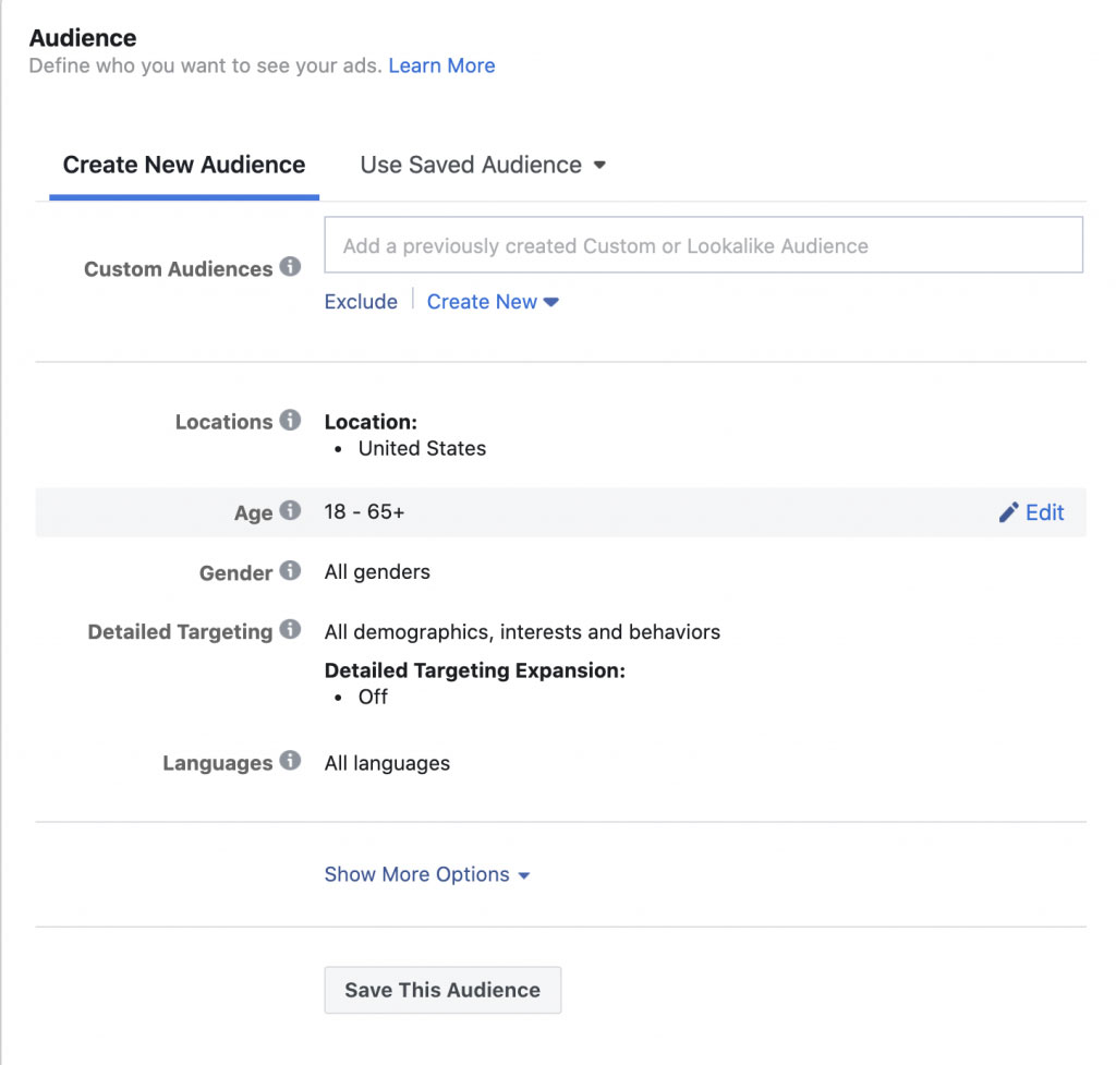 Facebook Ads Manager - Audience